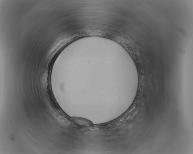 X0000110680194200907101134