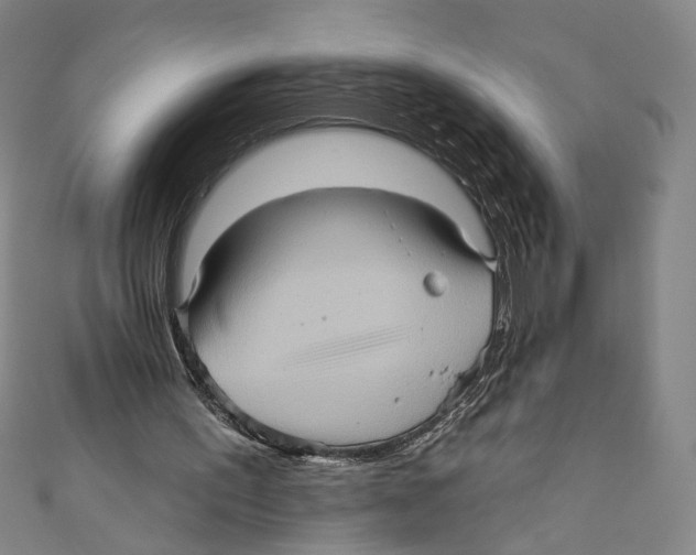 X0000110680195200907101134
