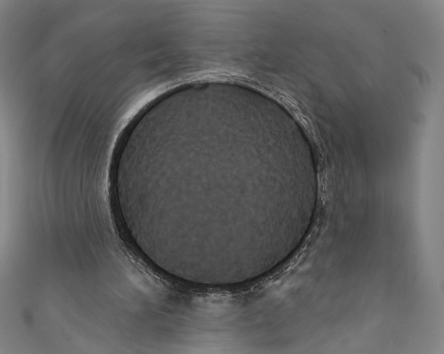 X0000110680196200907101134