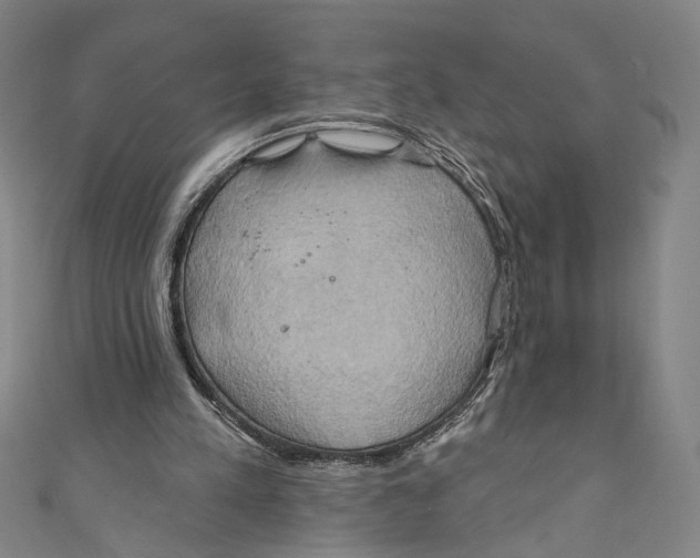 X0000110680197200907101134