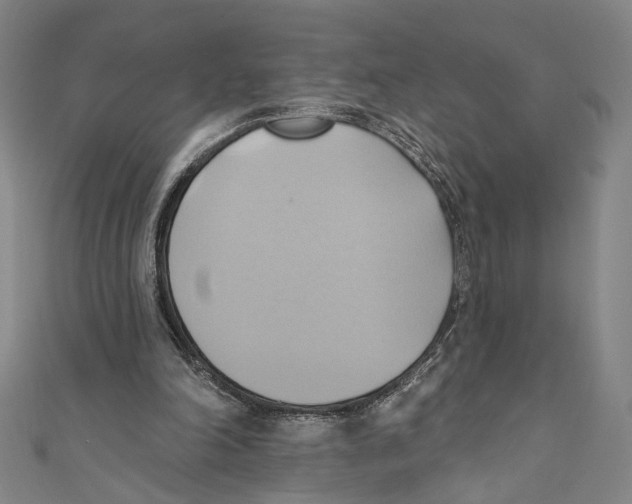 X0000110680198200907101134
