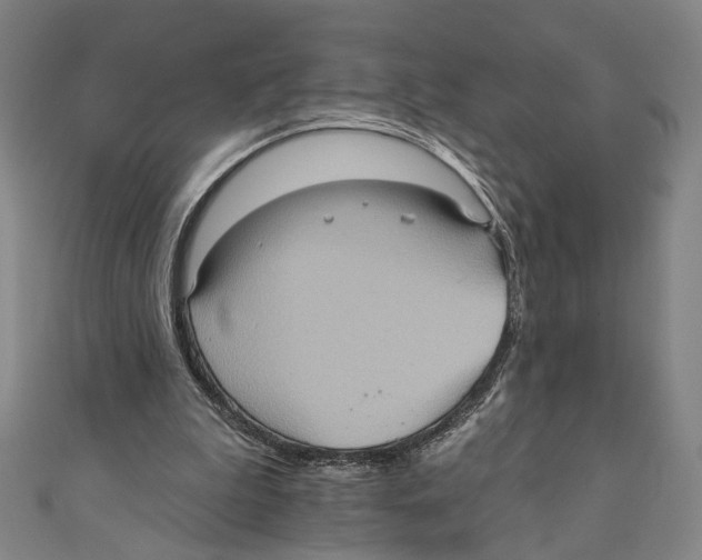 X0000110680199200907101134