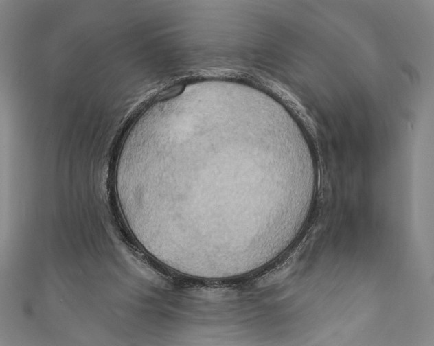 X0000110680201200907101134