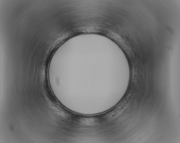 X0000110680202200907101134