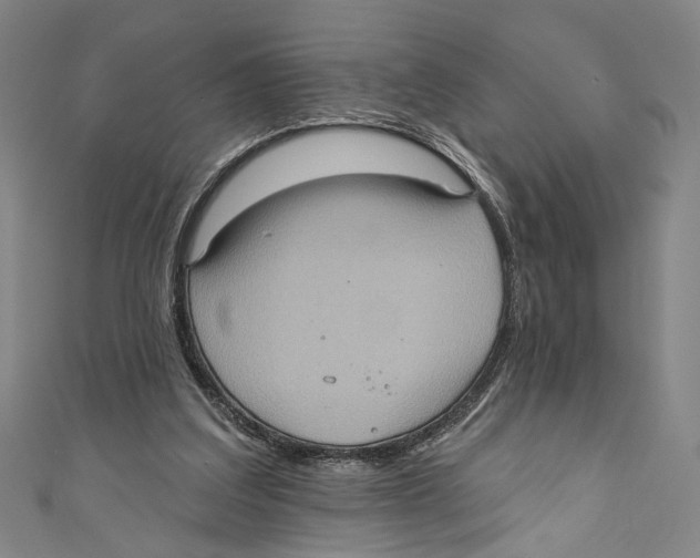X0000110680203200907101134