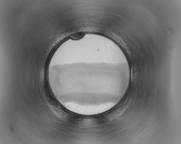 X0000110680204200907101134