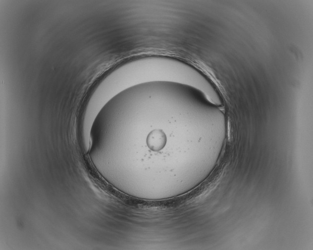 X0000110680205200907101134