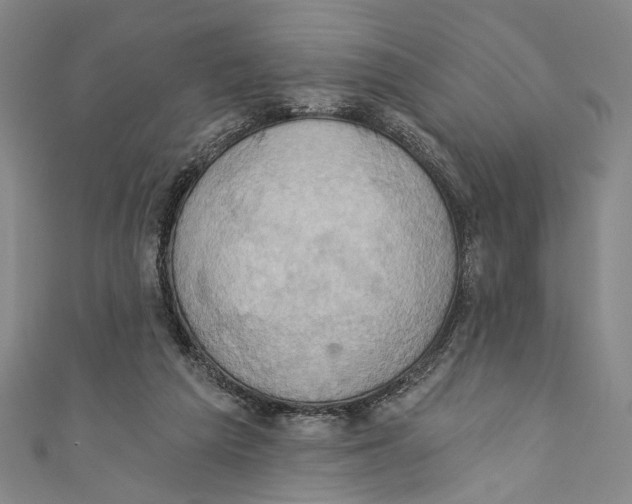 X0000110680209200907101134