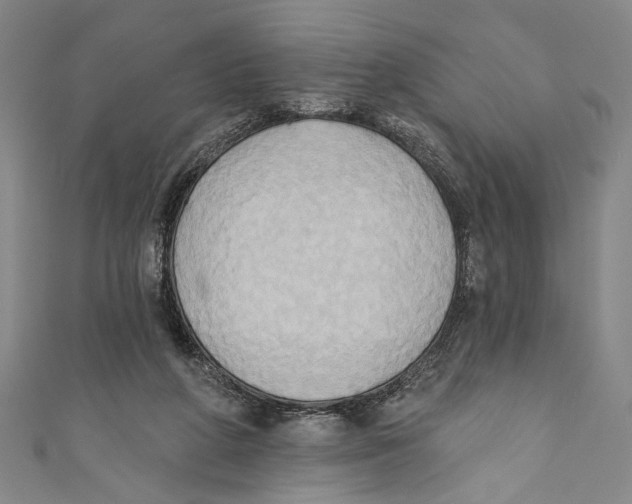 X0000110680210200907101134