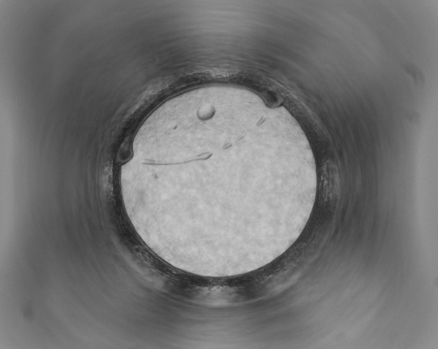 X0000110680212200907101134