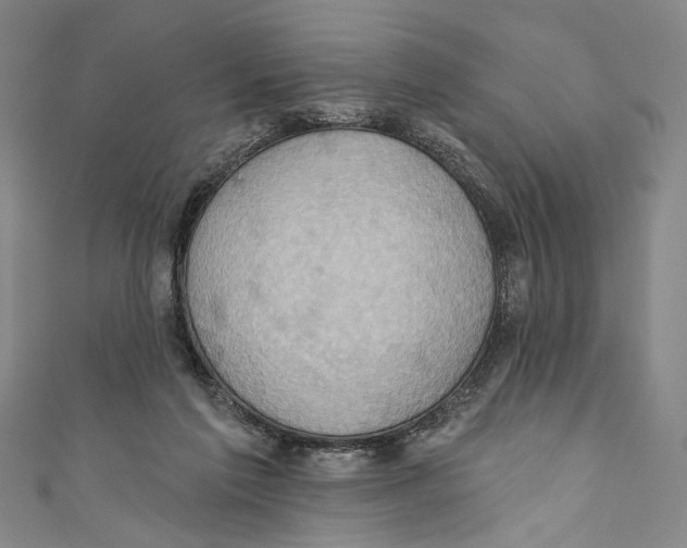 X0000110680213200907101134