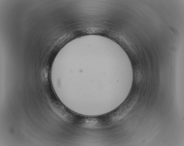 X0000110680214200907101134