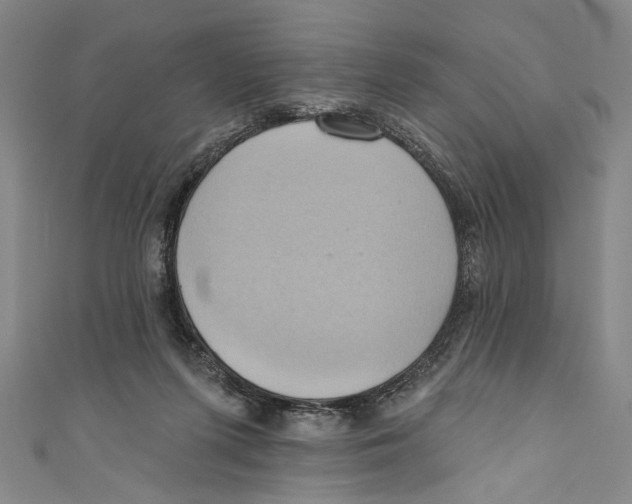 X0000110680215200907101134