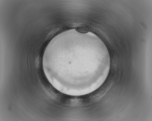 X0000110680216200907101134