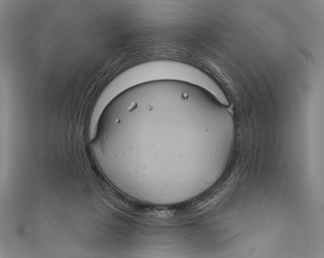 X0000110680217200907101134
