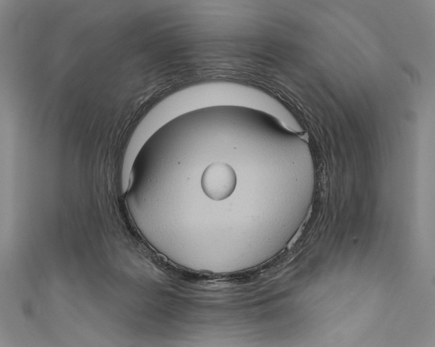 X0000110680219200907101134