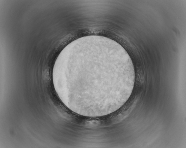 X0000110680220200907101134