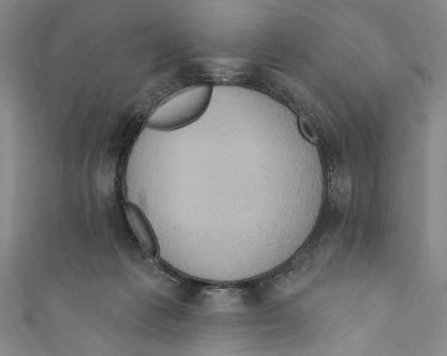 X0000110680221200907101134