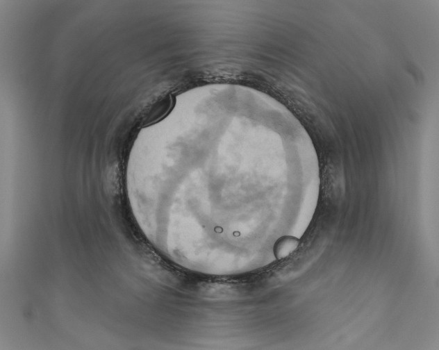 X0000110680224200907101134