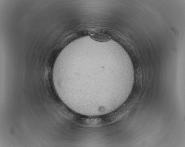 X0000110680225200907101134