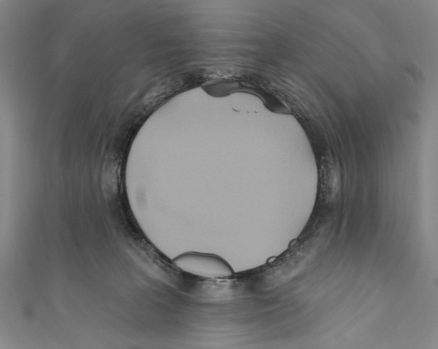 X0000110680227200907101134