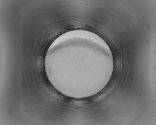 X0000110680228200907101134