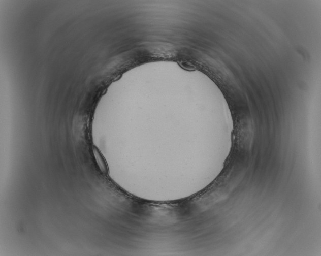 X0000110680229200907101134