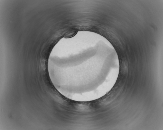 X0000110680232200907101134