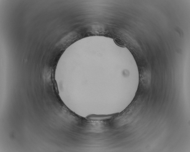 X0000110680233200907101134
