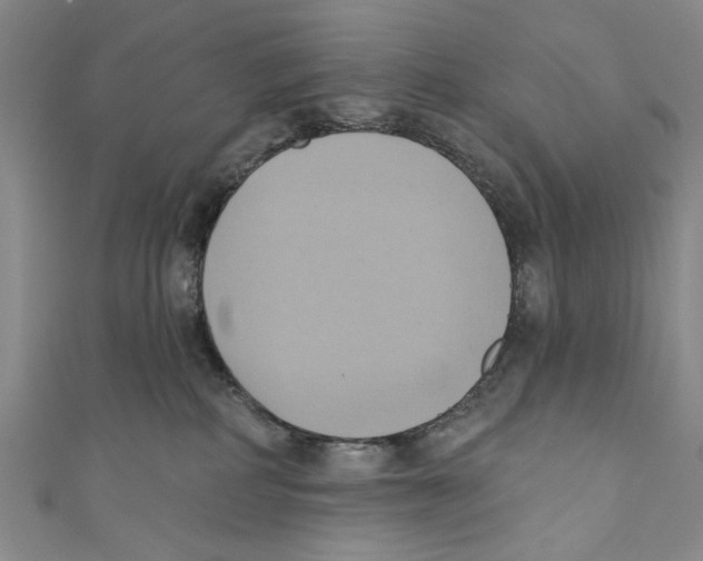 X0000110680234200907101134