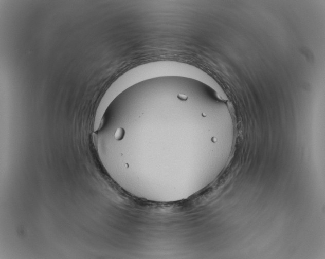 X0000110680235200907101134