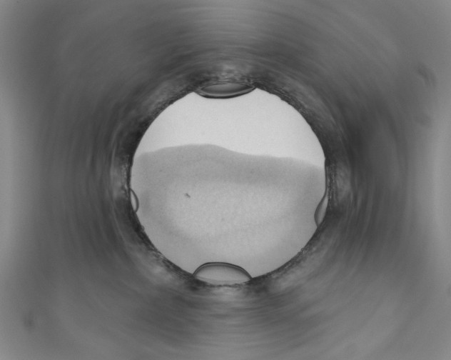 X0000110680236200907101134