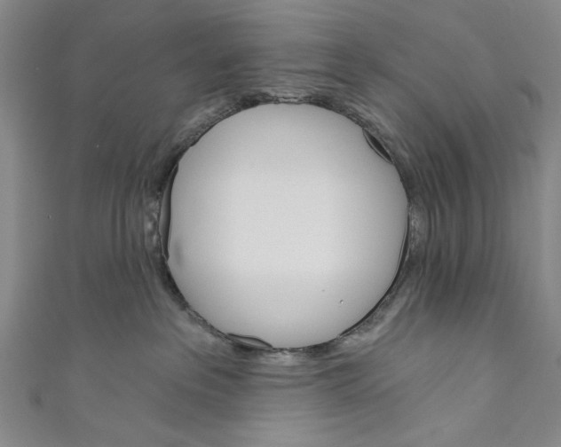 X0000110680237200907101134