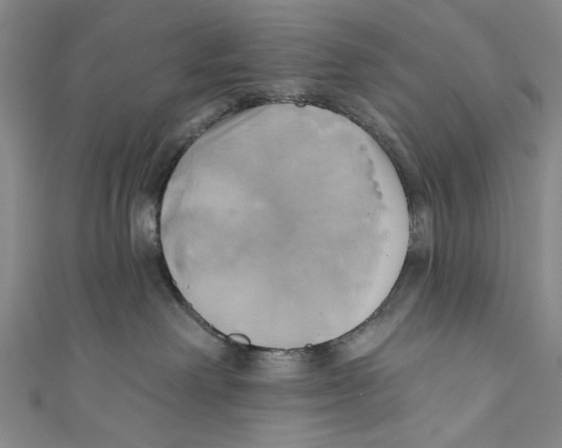 X0000110680238200907101134