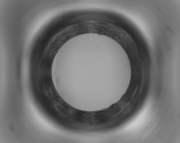 X0000110680239200907101134