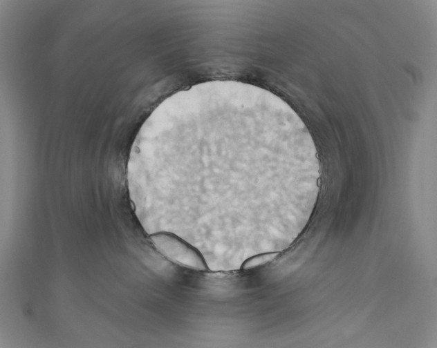X0000110680240200907101134