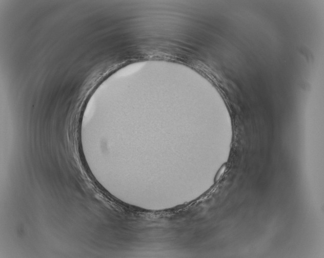 X0000110680241200907101133