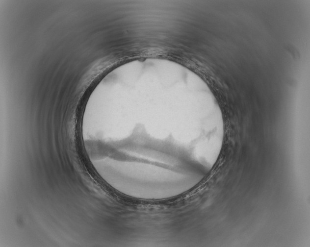 X0000110680242200907101133