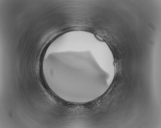 X0000110680243200907101133