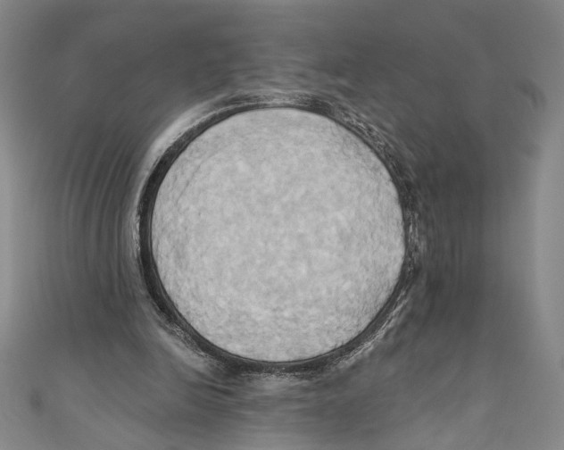 X0000110680246200907101133