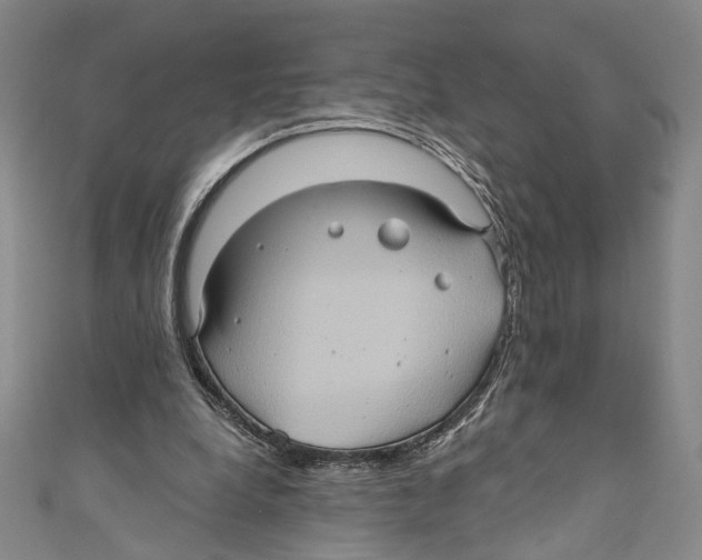 X0000110680248200907101133