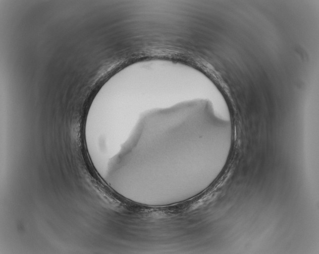 X0000110680249200907101133