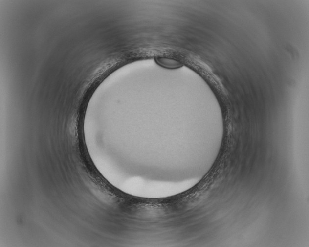 X0000110680250200907101133