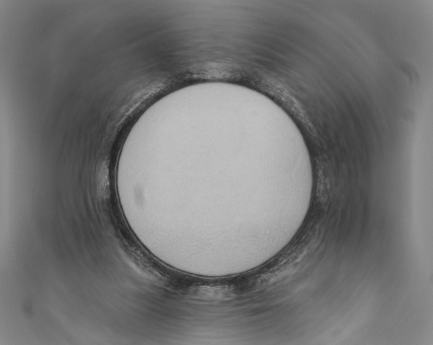 X0000110680251200907101133