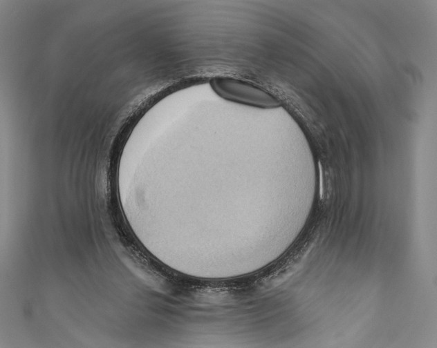 X0000110680252200907101133