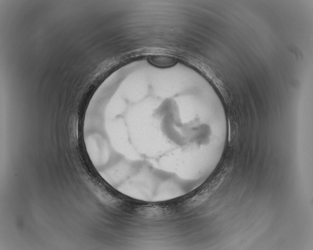X0000110680253200907101133