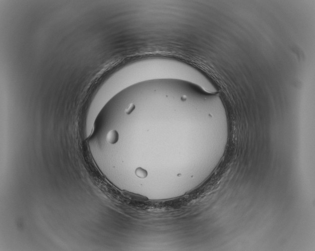 X0000110680256200907101133