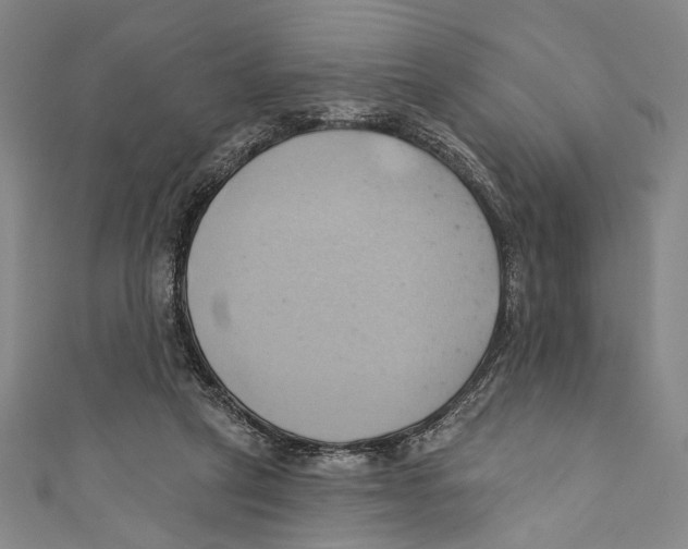 X0000110680257200907101133