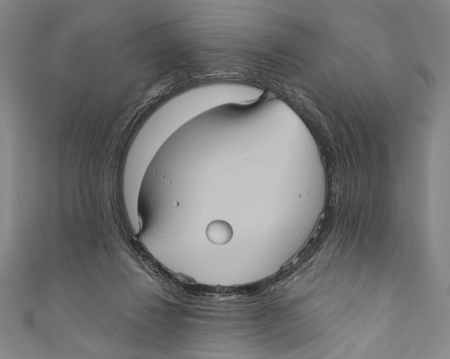 X0000110680260200907101133