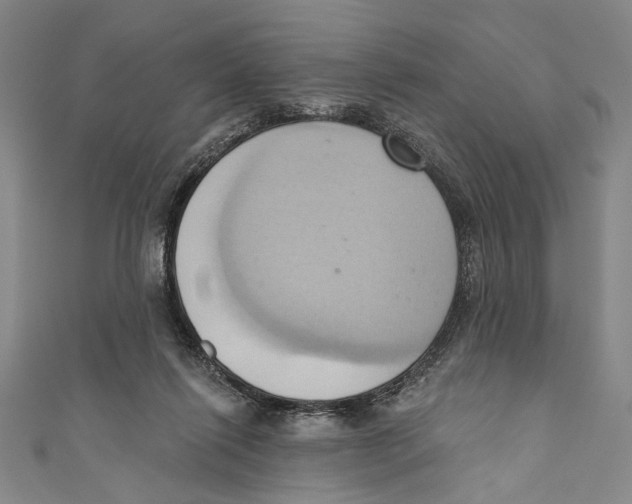 X0000110680262200907101133